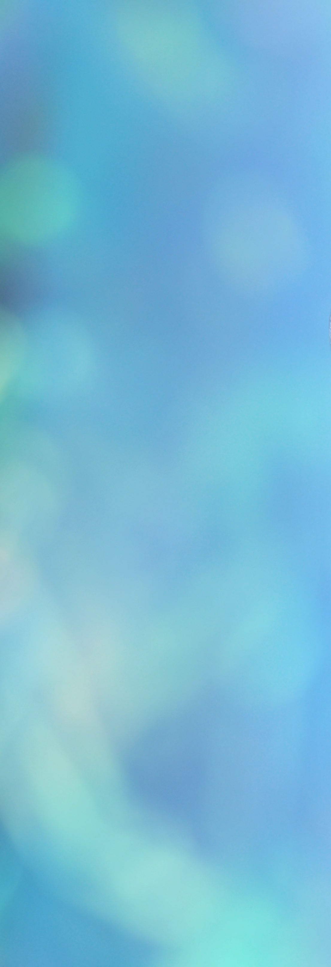 ASTRALIS ORBIS Ohrstecker aus Silber mit australischen Opalen